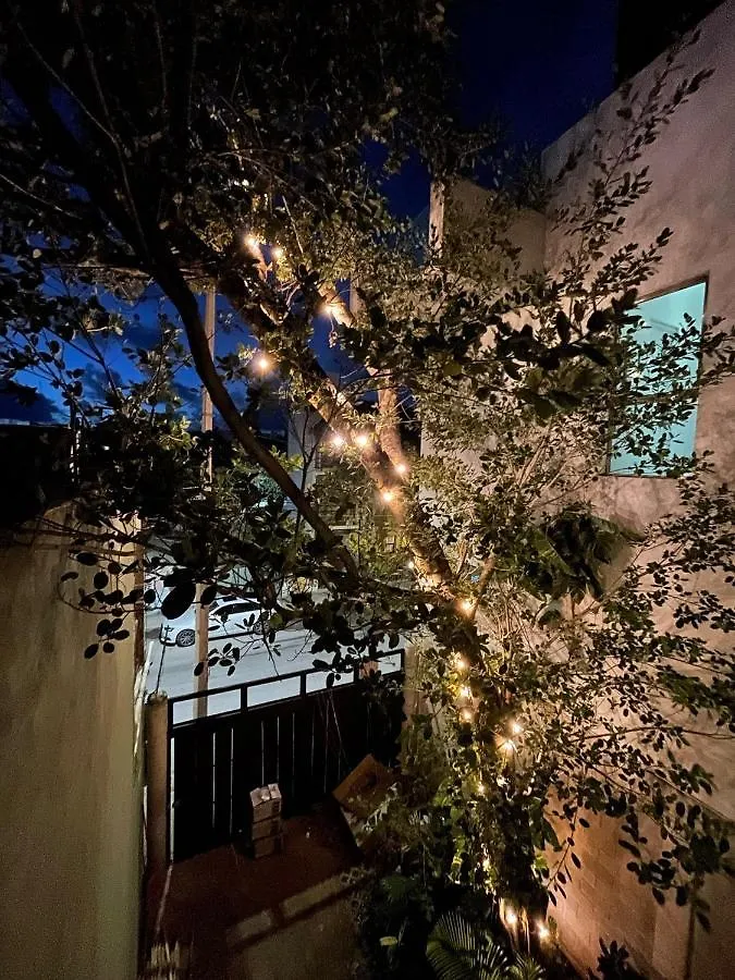 Katalox Jungle Lofts By Simply Comfort Tulum Centre Rooftop Patio & Pool Apartment