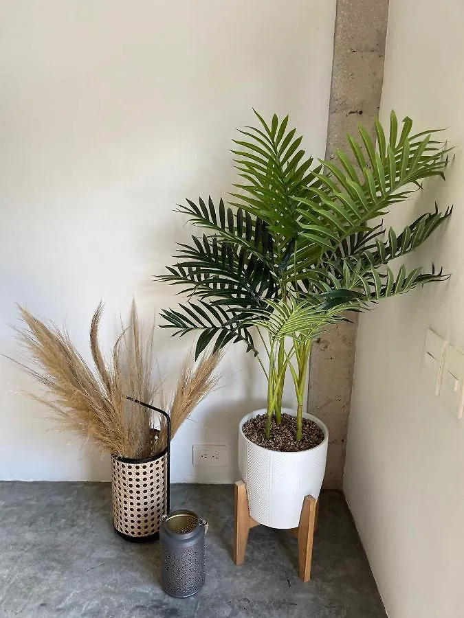 Katalox Jungle Lofts By Simply Comfort Tulum Centre Rooftop Patio & Pool Apartment
