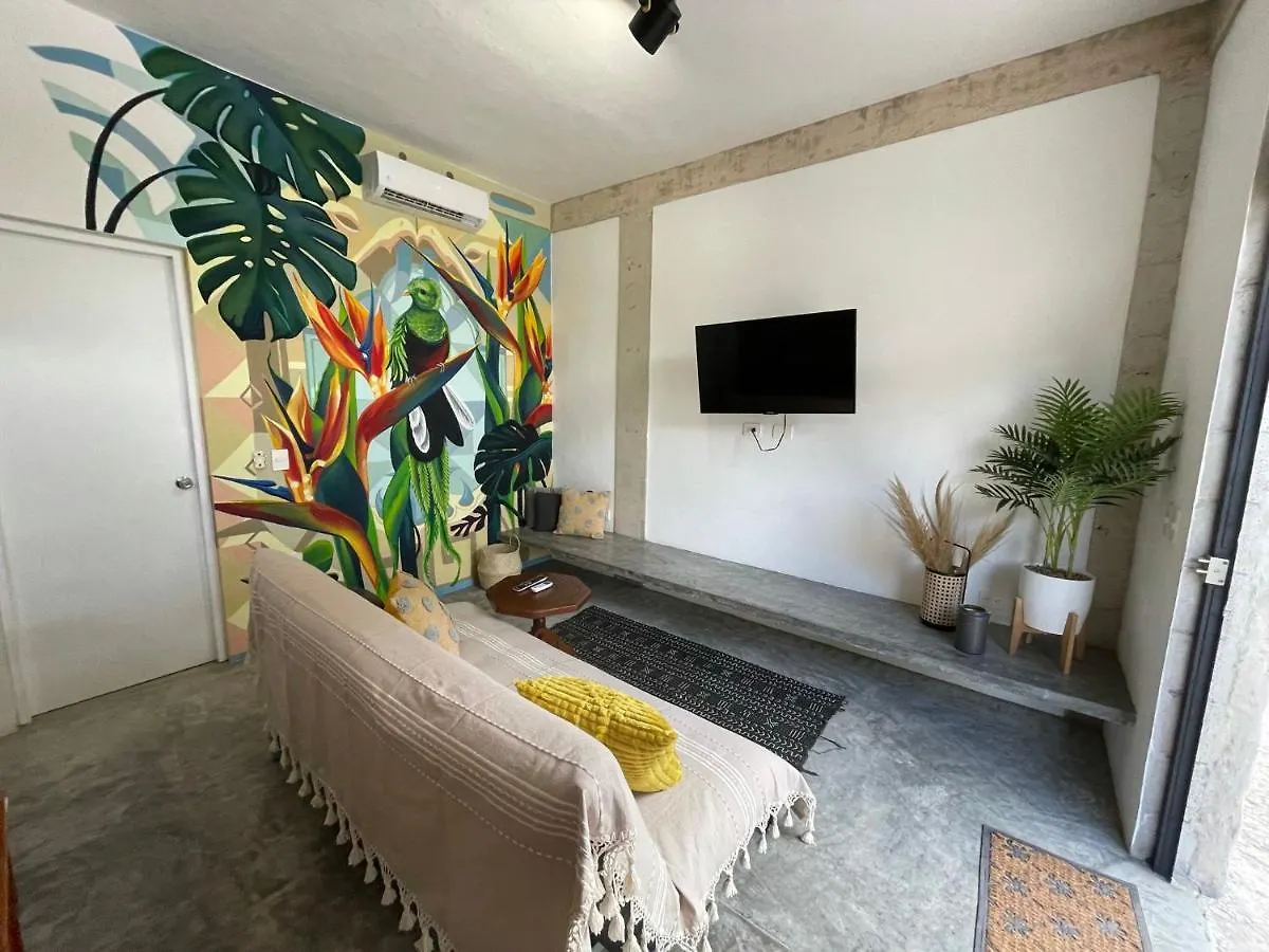 Katalox Jungle Lofts By Simply Comfort Tulum Centre Rooftop Patio & Pool Apartment Mexico