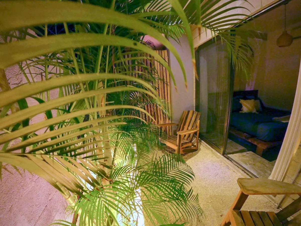 Katalox Jungle Lofts By Simply Comfort Tulum Centre Rooftop Patio & Pool Apartment