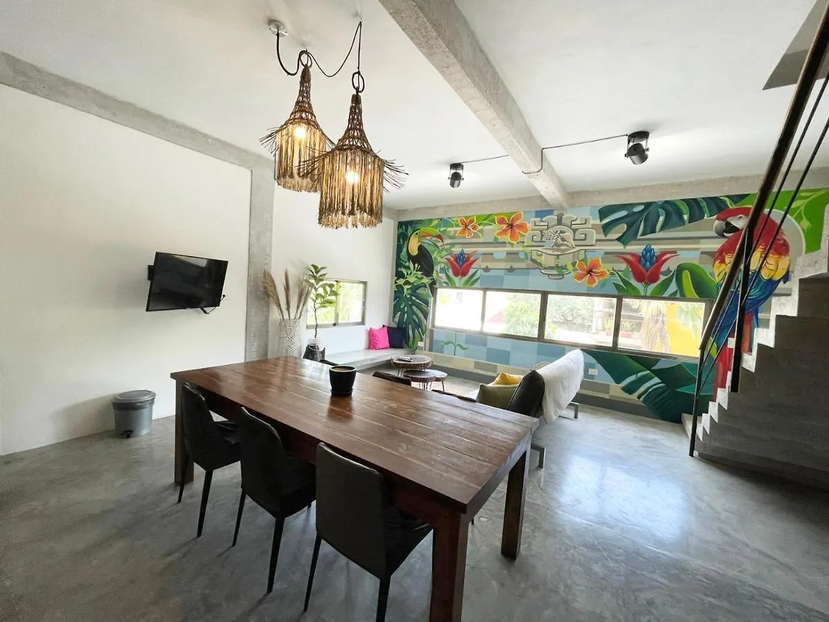 Katalox Jungle Lofts By Simply Comfort Tulum Centre Rooftop Patio & Pool Apartment