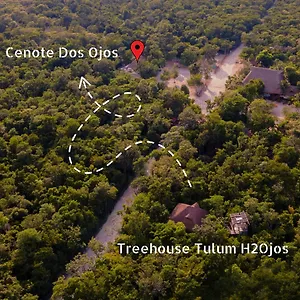 https://h2ojos-eco-cabins-surrounded-by-nature-and-cenotes-in.tulum-hotels.net