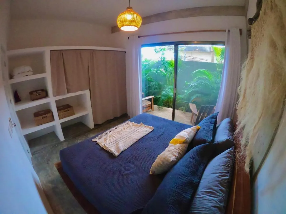 Katalox Jungle Lofts By Simply Comfort Tulum Centre Rooftop Patio & Pool Apartment